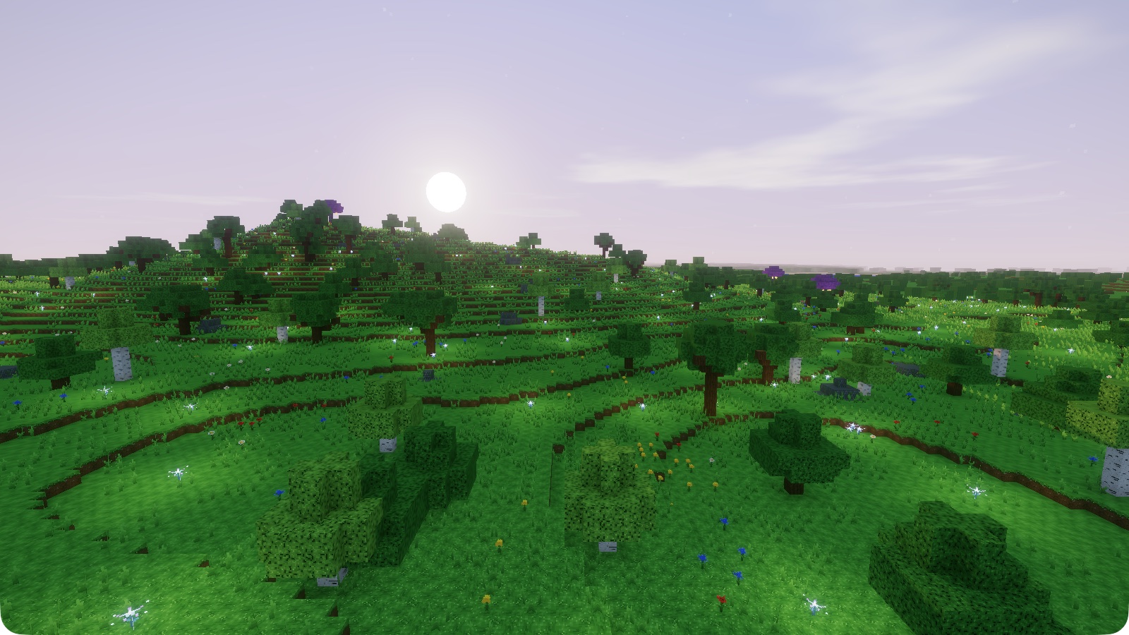 Nova Craft : une plaine boisée au coucher du soleil